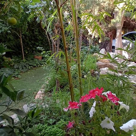 Apartamento Centrico En Villaviciosa De Odon Ngoại thất bức ảnh